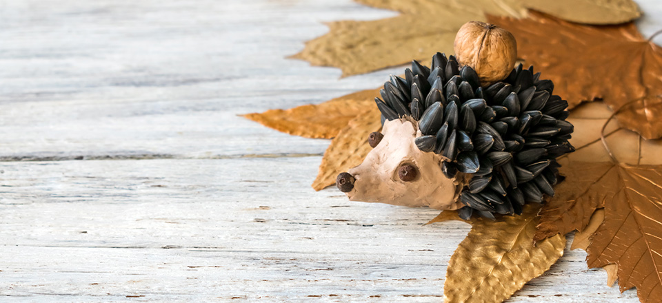 Mon hérisson d'automne - Les Entilles Centre