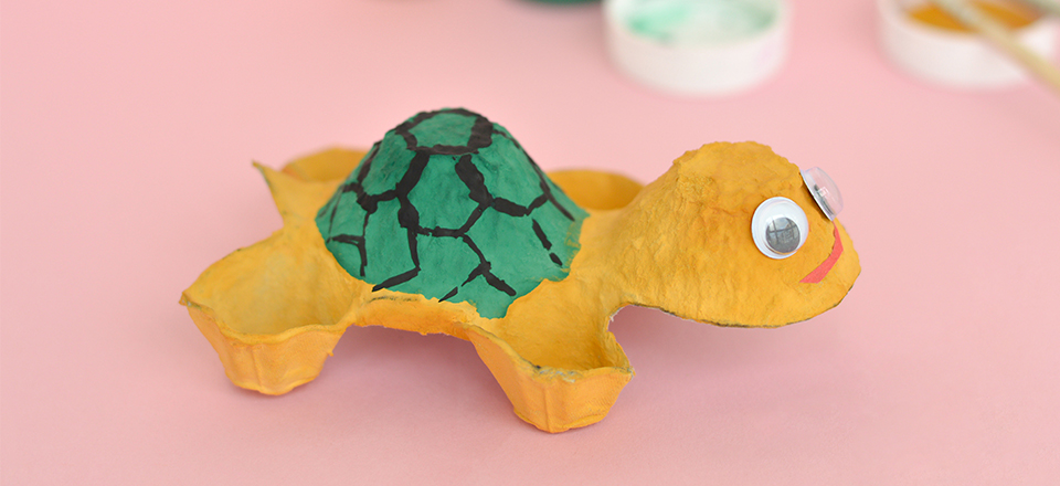 Ma tortue en hibernation - La Maladière Centre